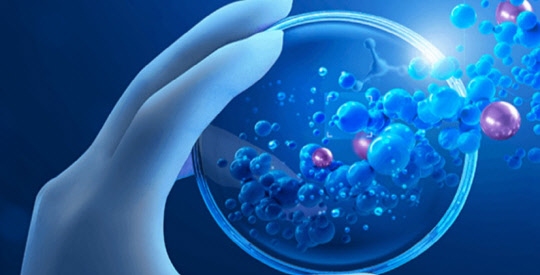 <아피셀테라퓨틱스 홈페이지>